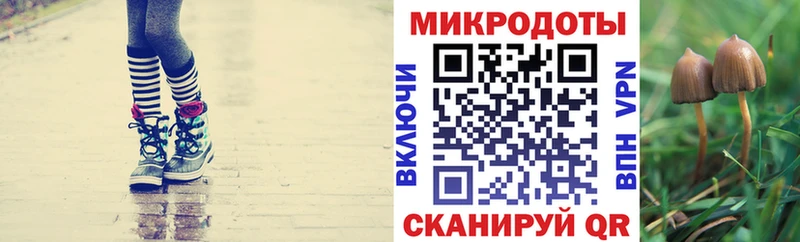 Купить закладки  Малмыж  Псилоцибиновые грибы ЛСД 